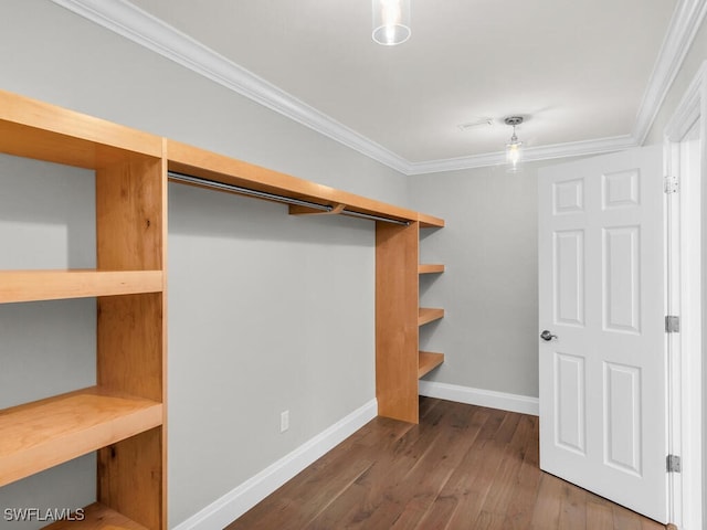 spacious closet with hardwood / wood-style floors