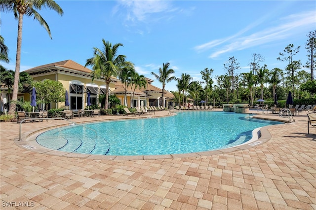 view of pool with a patio area