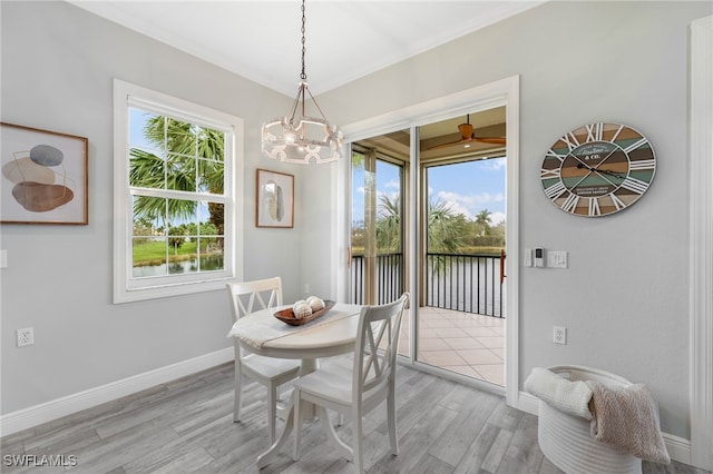 dining room with ceiling fan with notable chandelier and light hardwood / wood-style flooring