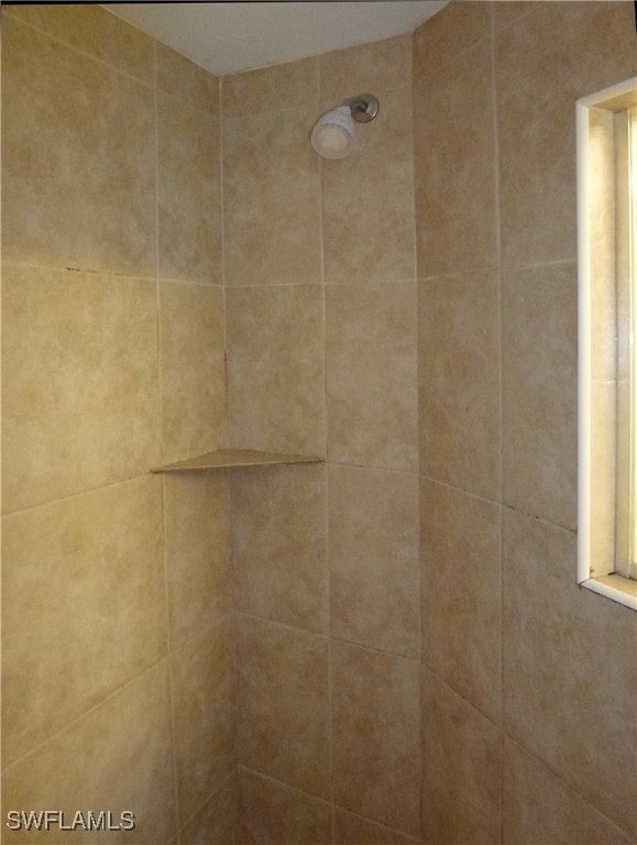 room details with tiled shower