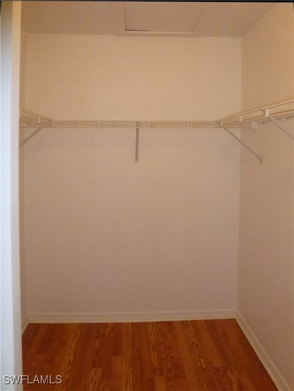 walk in closet featuring wood-type flooring