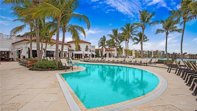 view of pool with a patio