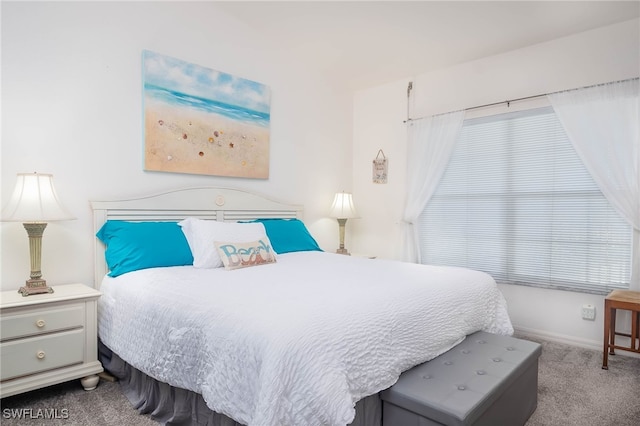 bedroom with carpet floors