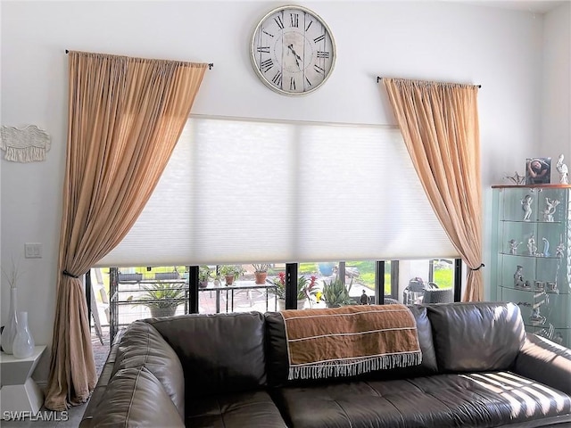 living room featuring a wealth of natural light