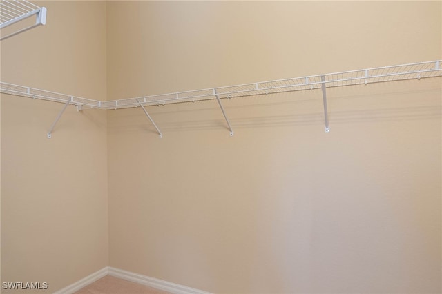 spacious closet with carpet floors