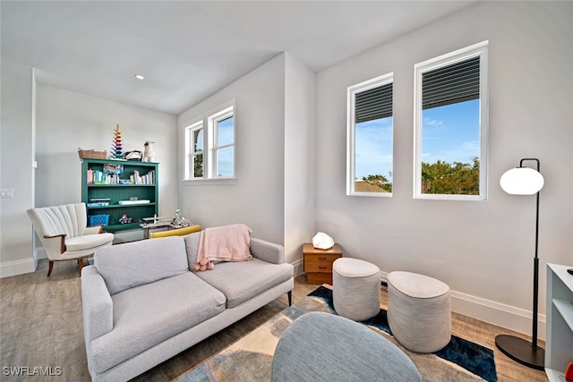 living room with hardwood / wood-style floors and plenty of natural light