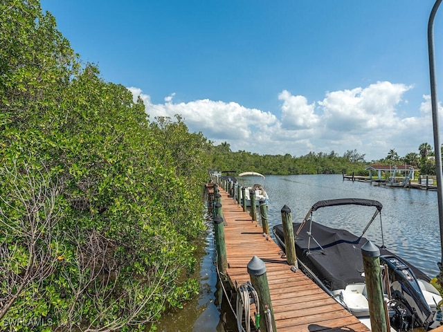 dock area with a water view