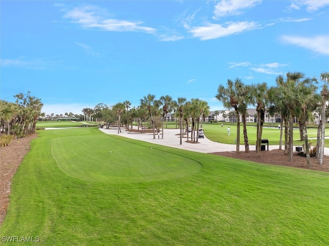 view of community with a lawn