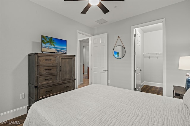 bedroom with ceiling fan, a spacious closet, dark wood-type flooring, and a closet