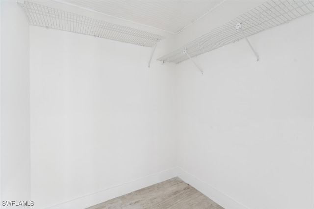 spacious closet featuring wood-type flooring