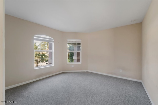 spare room featuring carpet flooring