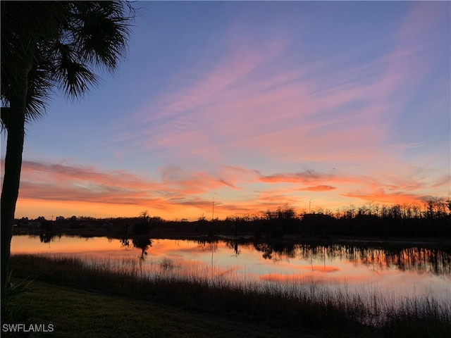 property view of water