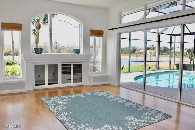 interior space featuring plenty of natural light and hardwood / wood-style flooring