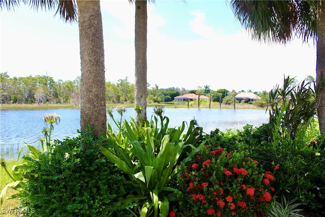 view of water feature