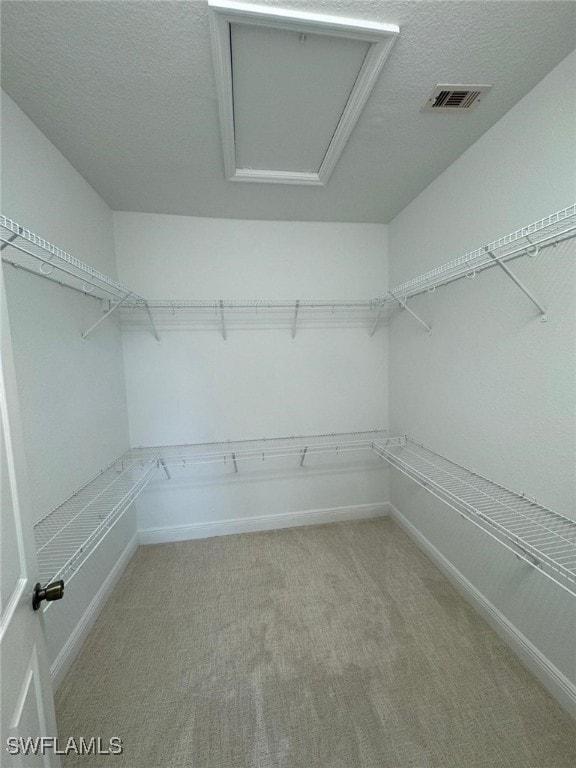 walk in closet with light carpet