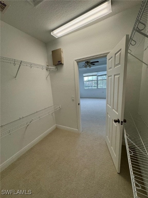 walk in closet featuring ceiling fan and light carpet