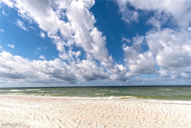 water view featuring a beach view