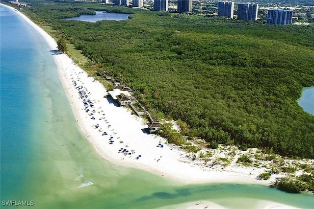 bird's eye view with a view of the beach and a water view