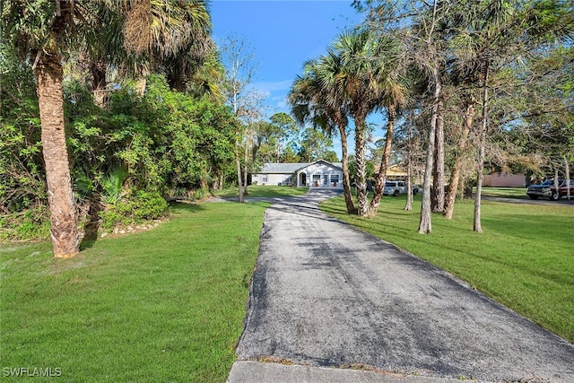 view of front of house with a front yard