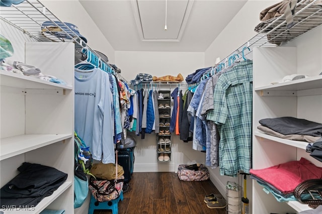 spacious closet featuring dark wood-type flooring