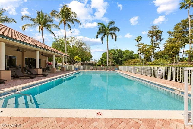 view of pool featuring a patio area and ceiling fan