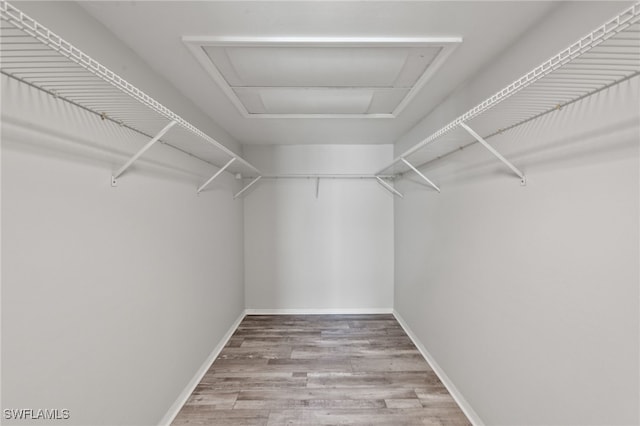 walk in closet with hardwood / wood-style flooring