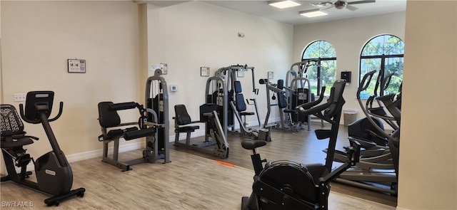 gym featuring light hardwood / wood-style floors and ceiling fan