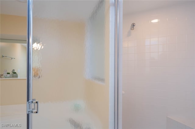 bathroom featuring a shower with shower door