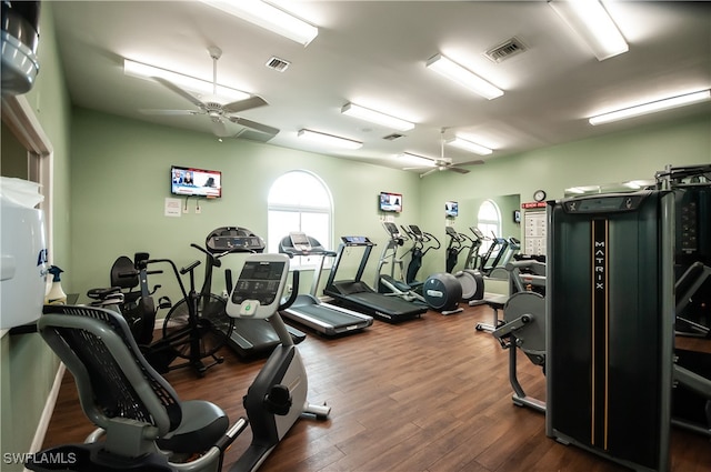 exercise room featuring ceiling fan and dark hardwood / wood-style floors