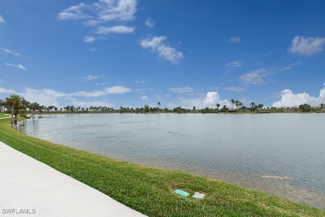 17100 Bridgestone Ct Unit 205, Fort Myers, FL 33908 - water view