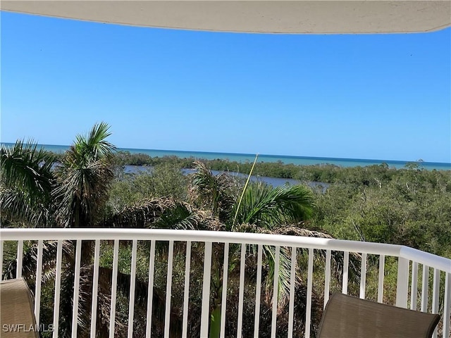 6849 Grenadier Blvd Unit 502, Naples, FL 34108 - balcony featuring a water view