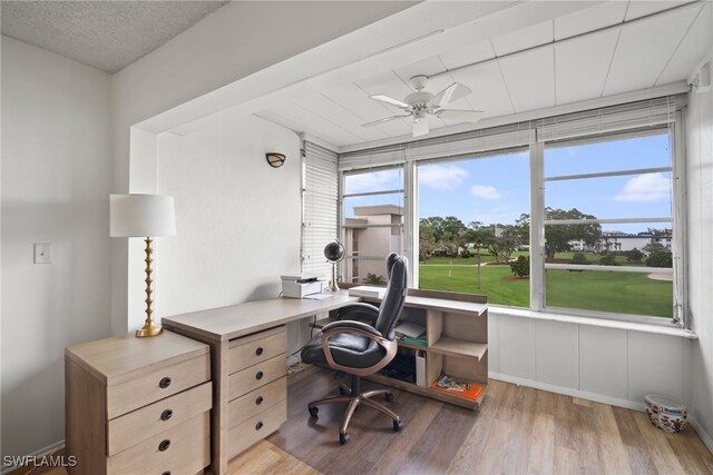 office featuring light hardwood / wood-style floors and ceiling fan