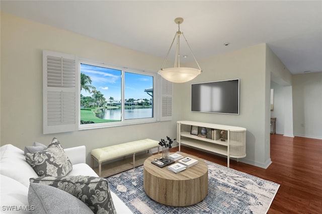 living room with dark hardwood / wood-style floors