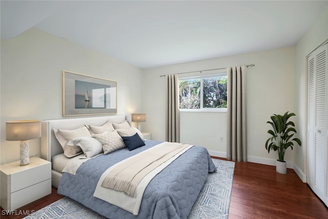 bedroom featuring dark wood-type flooring and a closet