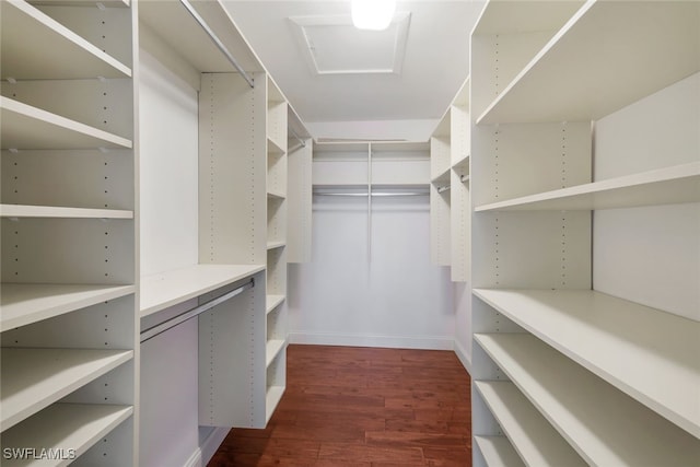 walk in closet with dark hardwood / wood-style flooring