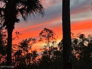 view of nature at dusk