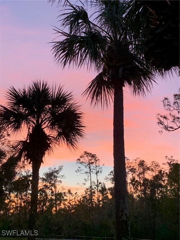 view of nature at dusk