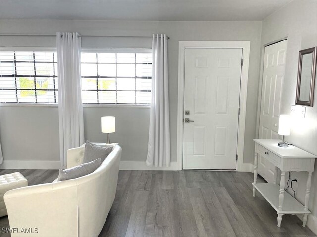 sitting room with dark hardwood / wood-style floors