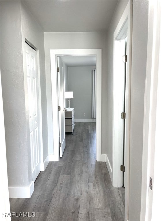 corridor with wood-type flooring