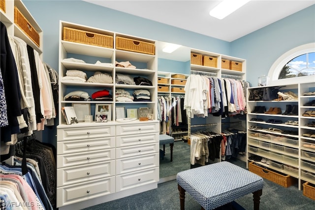 walk in closet with dark colored carpet