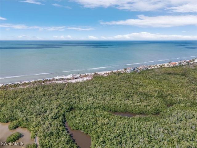 water view with a beach view