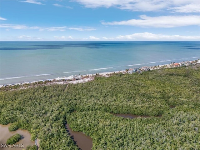 871 Tanbark Dr Unit 101, Naples, FL 34108 - water view