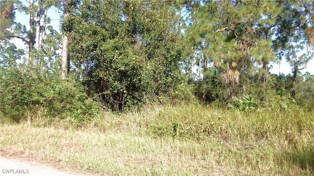 918 Fitch Ave, Lehigh Acres FL, 33972 land for sale