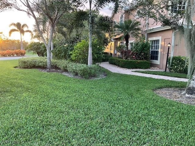 view of yard at dusk