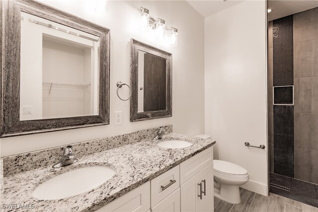 bathroom featuring hardwood / wood-style floors, vanity, and toilet