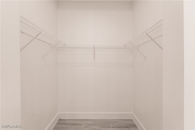 spacious closet with hardwood / wood-style flooring