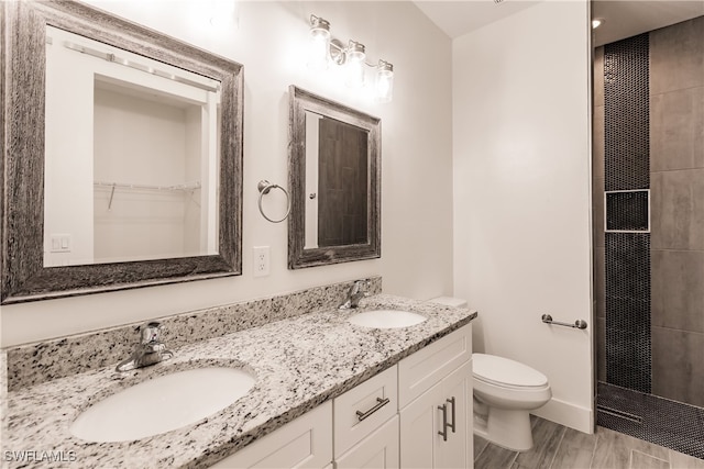 bathroom with wood-type flooring, vanity, and toilet