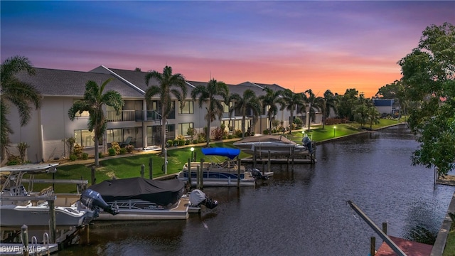 water view featuring a boat dock