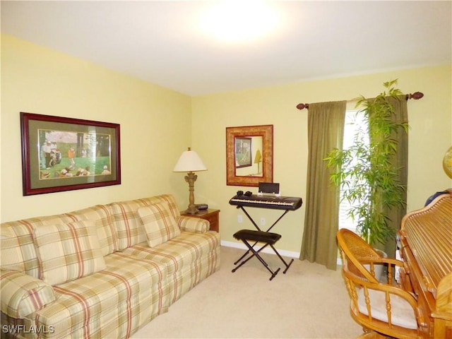 living room featuring carpet flooring