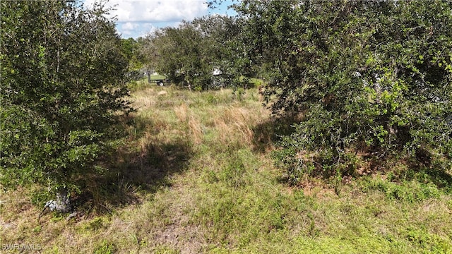 2610 74th St W, Lehigh Acres FL, 33971 land for sale